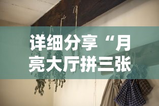 分享实测辅助“今日长牌有没有挂	”(原来确实是有插件) 