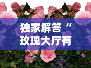 使用分享“巴蜀四川麻将有挂吗”分享用挂教程