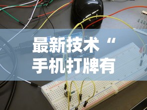 独家脚本实测“佛手13道作弊视频”确实可以使用辅助