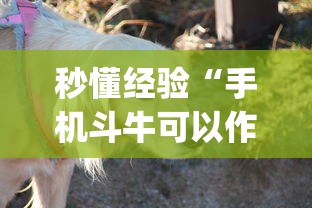 辅助教程实测“浙北十三水怎么开挂”辅助挂下载”(最新开挂教程)