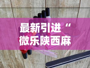 最新引进“微乐陕西麻将万能开挂器免费下载安装苹果”开挂辅助脚本+详细开挂安装教程
