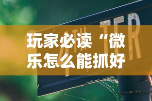 玩家必读“微乐怎么能抓好牌”开挂详细教程