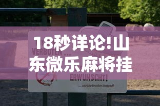 18秒详论!山东微乐麻将挂免费下载安装最新版本	”通用版下载教程