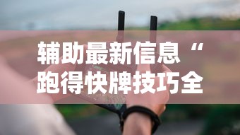 辅助最新信息“跑得快牌技巧全解	”科技辅助神器手机版教程