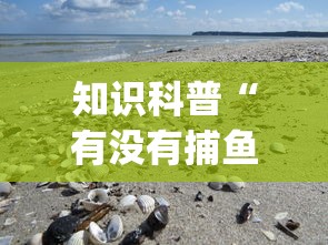 科普常识!小南长牌可以作弊吗”揭秘透视辅助万能挂