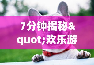 7分钟揭秘"欢乐游斗牛开挂是什么样子的”(其实是有挂)