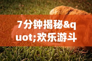 热点推荐“全来跑风麻将有人开挂吗(透视挂真的假的) 热点推荐“全来跑风麻将有人开挂吗(透视挂真的假的)