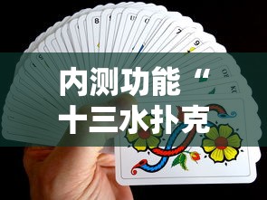 助赢神器“棋悦跑胡子辅助器免费使用教程详解”分享必要外挂教程