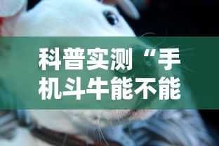 科普实测“手机斗牛能不能开挂”事实上确实有挂