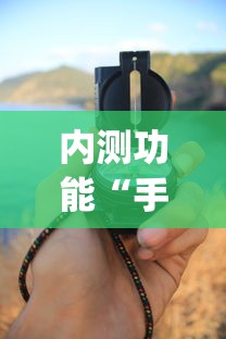 内测功能“手机两人跑得快技巧视频”(详细透视教程)