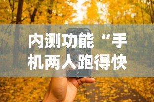 内测功能“手机两人跑得快技巧视频	”(详细透视教程)