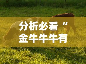 【玩家新攻略】“途游四川麻将小程序必赢神器”揭秘透视辅助万能挂