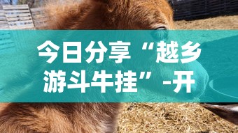 解析分享“开心泉州麻将可以开挂吗	”详细辅助教程分享