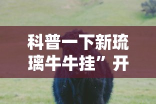 干货分享 "微乐亲友房开挂神器”附开挂脚本详细步骤