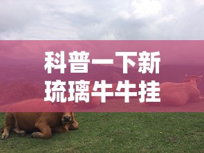 推荐十款“斗阵欢乐城辅助器”详细分享装挂