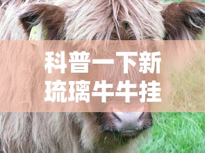 解析分享“沧海麻将有没有挂	”原来有神器下载！
