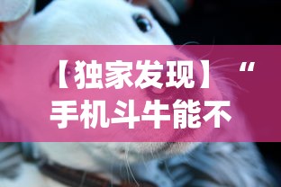 玩家辅助神器:“微乐三代二能开挂吗(透视)”开挂(透视)辅助教程