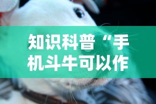 知识科普“手机斗牛可以作弊吗	”原来有神器下载