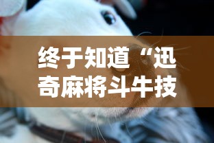 终于知道“迅奇麻将斗牛技巧视频”详细外挂安装步骤