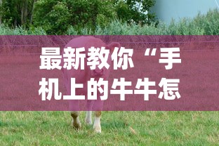 最新教你“手机上的牛牛怎么打才能赢	”(太坑了果然有挂)