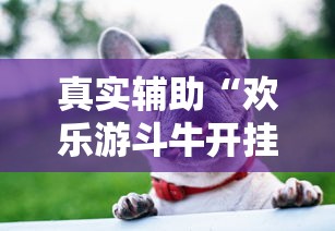 真实辅助“欢乐游斗牛开挂是什么样子的”详细外挂辅助详细教程