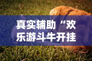 热点资讯 "微信多乐跑得快私人场开挂	”辅助挂下载”(最新开挂教程)