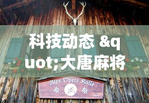 7分钟揭秘哥哥打大A怎么来好牌	”(详细透视教程)-知乎