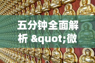 正品教程“新海贝之城拼三张怎么装挂	”详细辅助教程分享