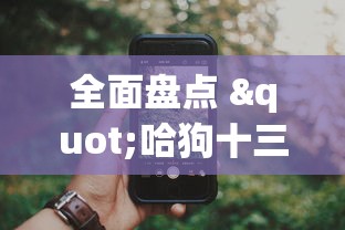 全面盘点 "哈狗十三道有没有挂”科技辅助神器手机版教程