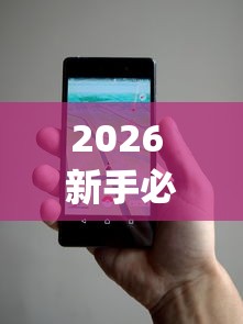 2026 新手必看 "微信小程序13张怎么拿好牌”辅助透视教程