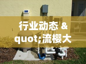 热点回顾 "佛手十三道辅助挂安全吗”开挂辅助详细步骤