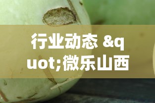 我来教大家"乐酷副厅金花究竟有没有挂”最新辅助详细教程