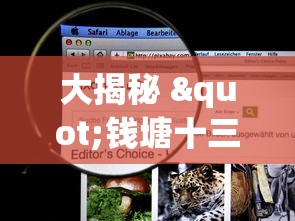 大揭秘 "钱塘十三水开挂视频”附开挂脚本详细教程