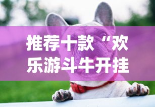 推荐十款“欢乐游斗牛开挂是什么样子的”(透视)开挂详细教程