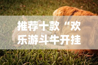 推荐十款“欢乐游斗牛开挂是什么样子的”(透视)开挂详细教程