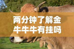 两分钟了解金牛牛牛有挂吗	”开挂步骤方法