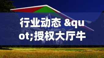 行业动态 "授权大厅牛牛怎么装挂	”-原来有挂