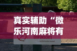 真实辅助“微乐河南麻将有技巧吗”(透视挂)辅助透视教程