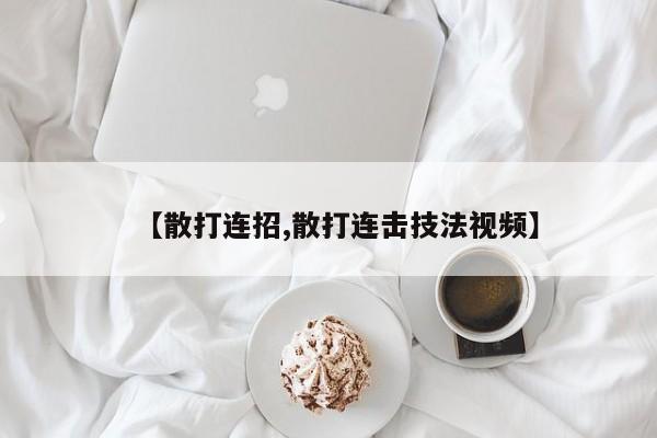 【散打连招,散打连击技法视频】