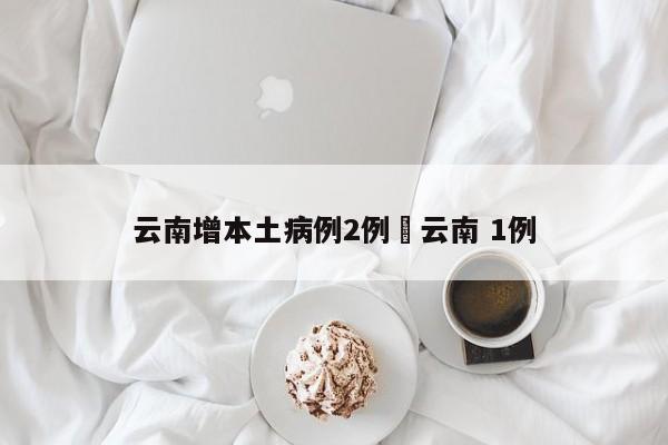 云南增本土病例2例›云南 1例