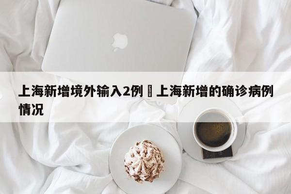 上海新增境外输入2例›上海新增的确诊病例情况