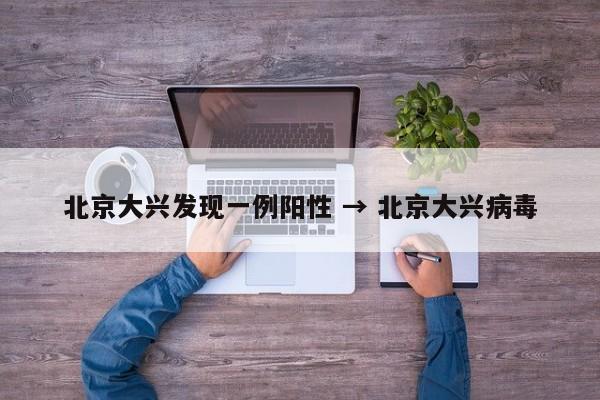 北京大兴发现一例阳性 → 北京大兴病毒