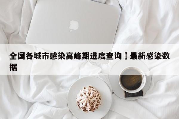 全国各城市感染高峰期进度查询›最新感染数据