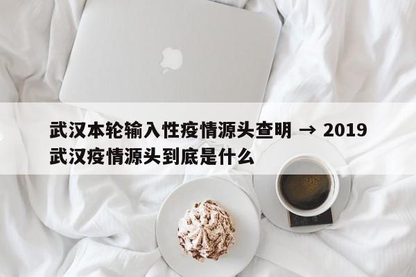 武汉本轮输入性疫情源头查明 → 2019武汉疫情源头到底是什么